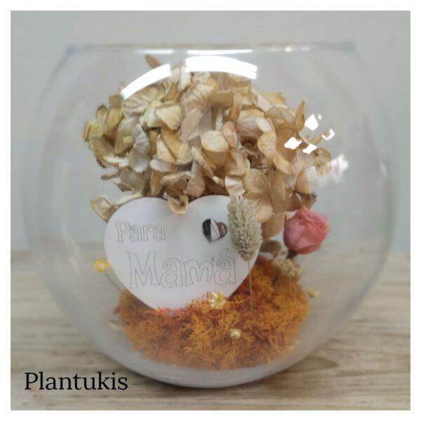 9. CAMELIA